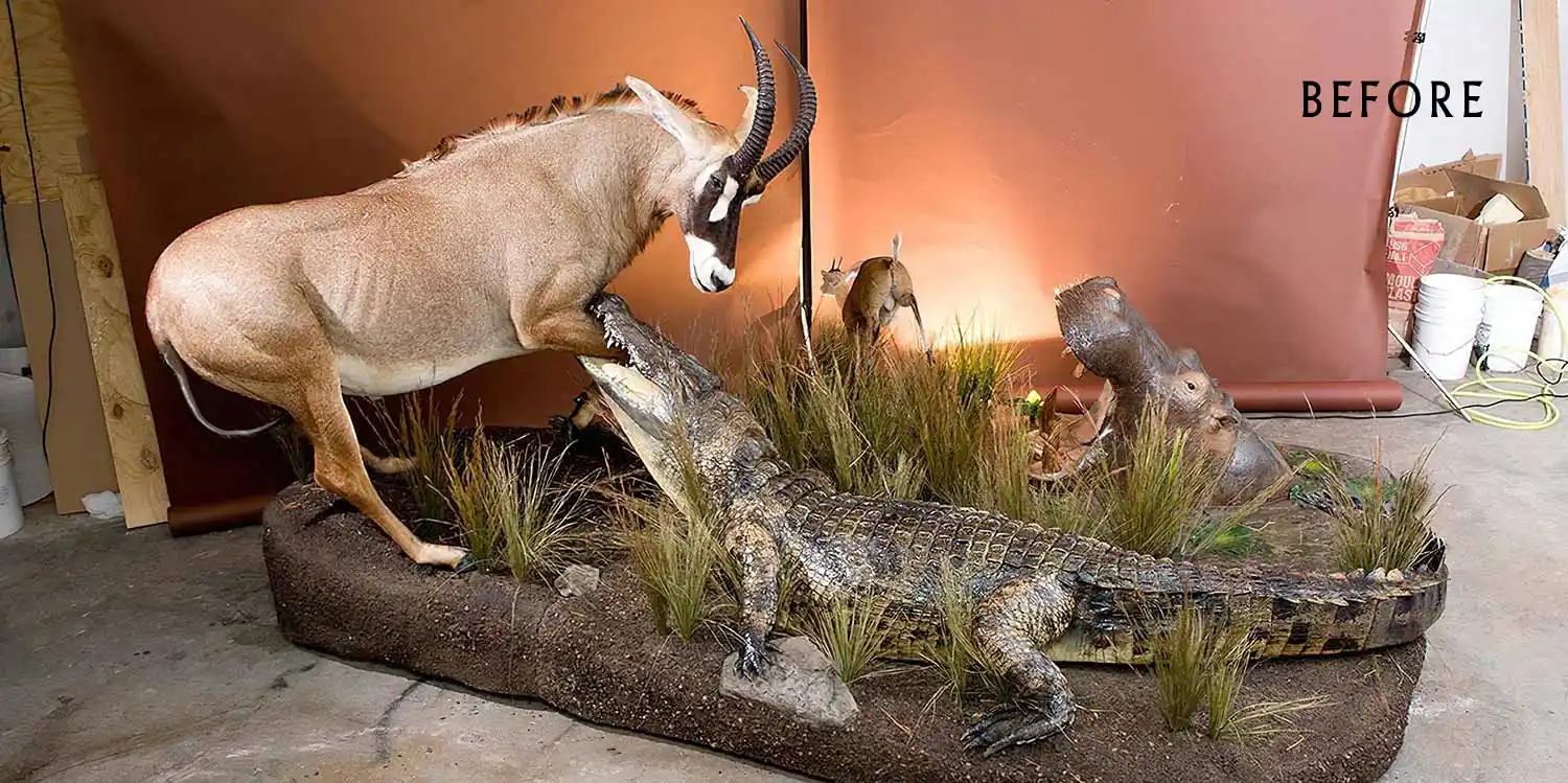 B&B Taxidermy scenic shown before being dropped out